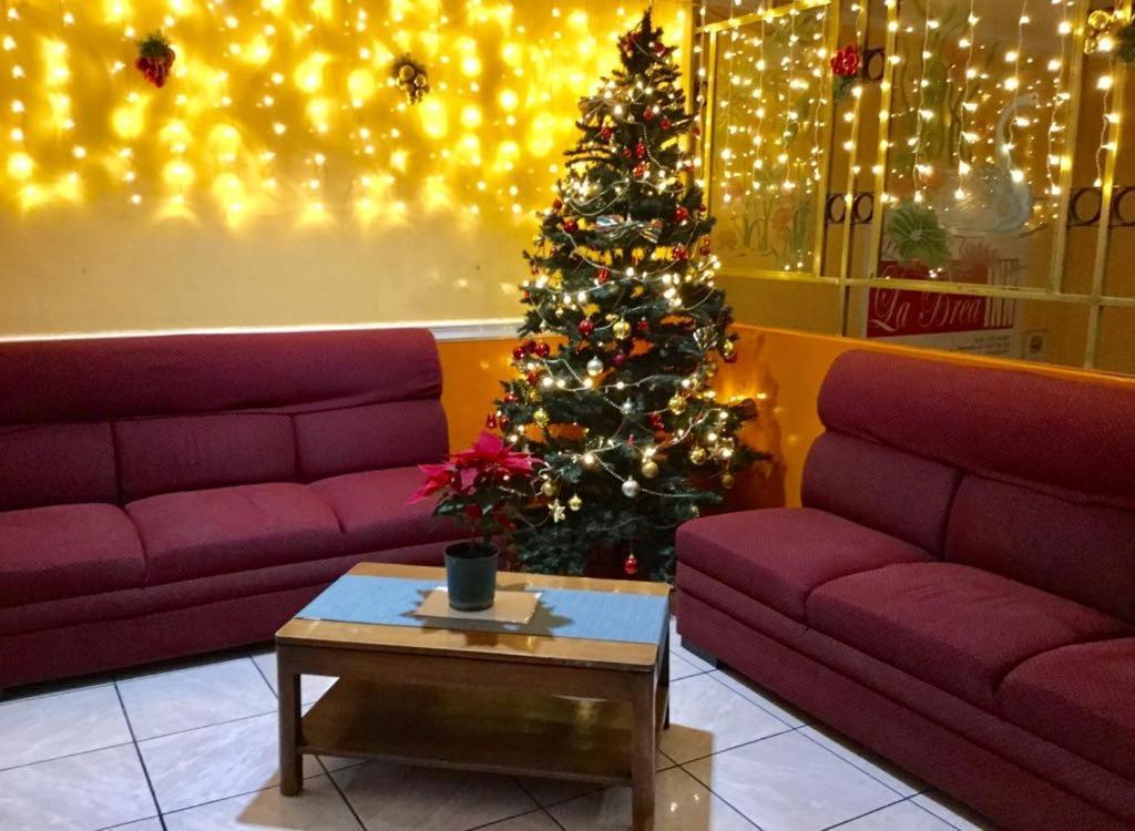 La Brea Inn باغيو المظهر الخارجي الصورة